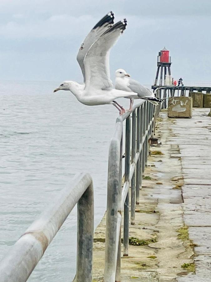 Robin Hood'S Bay Coastguard'S Cottage With A View エクステリア 写真